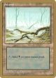 Swamp (ll372) (Leon Lindback) [Pro Tour Collector Set] Online Sale