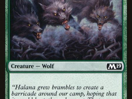 Thornhide Wolves [Core Set 2019] Hot on Sale