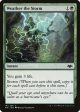 Weather the Storm [Modern Horizons] on Sale