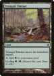 Tranquil Thicket [Archenemy] on Sale